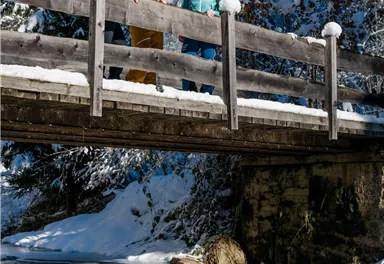 Scheffau_Winterwandern_Brücke_Bach_Wilder Kaiser