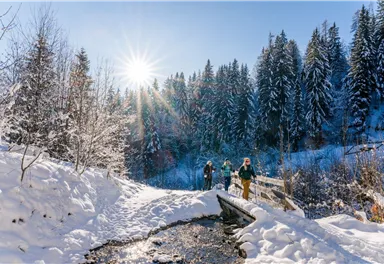 Scheffau_Winterwandern_Rehbach_Wilder Kaiser