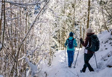 Scheffau_Winterwandern_Wald_Schnee