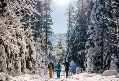 Scheffau_Winterwandern_Wald_verschneit_Wilder Kaiser