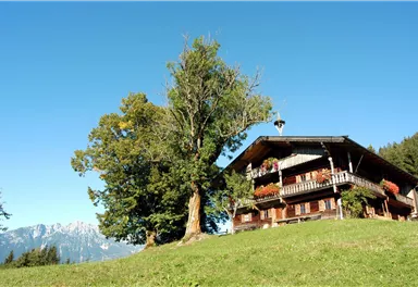 Söll_Bergdoktorhaus_Wilder Kaiser