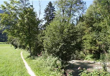 Söll_Energieweg_Wilder Kaiser