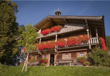 Söll_Gruberhof_Bergdoktor_Wilder Kaiser