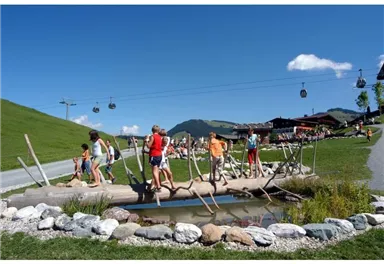 Söll_Hexenwasser_Kletterbaum_Wilder Kaiser