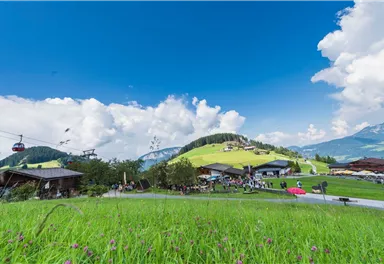 Almherbst Hexenwasser_Soell_Foto Martin Raffeiner (30).jpg