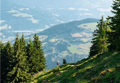 Söll_Hohe Salve_Weg Nr. 50_Wilder Kaiser