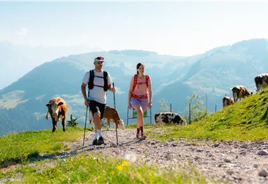 Söll_Hohe Salve_Weg Nr. 50_Wilder Kaiser
