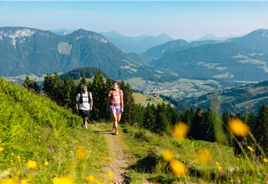 Söll_Hohe Salve_Weg Nr. 50_Wilder Kaiser