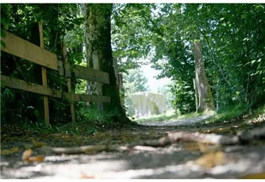 Söll_Magischer Stein_Wilder Kaiser