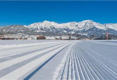 Söll_Panoramaloipe_Wilder Kaiser