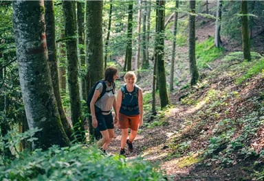 Söll_Pölven_Wilder Kaiser