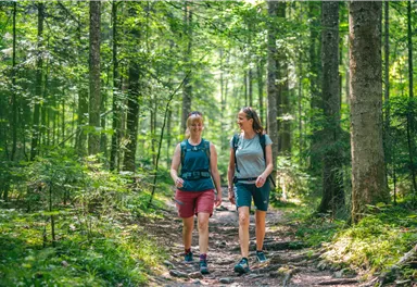 Söll_Pölven_Wilder Kaiser