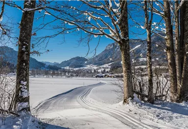 Schattseitloipe_Soell_Foto Martin Raffeiner (12)_1920px.jpg