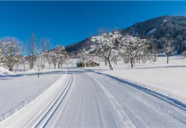 Schattseitloipe_Soell_Foto Martin Raffeiner (9)_1920px.jpg