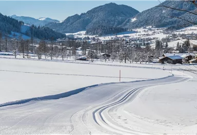 Schattseitloipe_Soell_Foto Martin Raffeiner (13).jpg