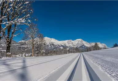 Söll_Schattseitloipe_Wilder Kaiser