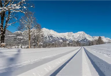 Scheffau_Langlaufloipe_Wilder Kaiser