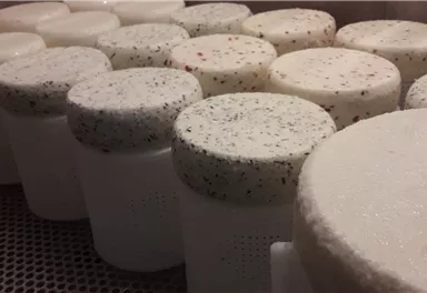 Silleralm_Marktplatz_Familie Angerer (1).jpg