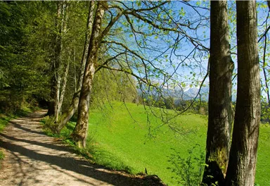 Söll_Sunnseit_Wilder Kaiser