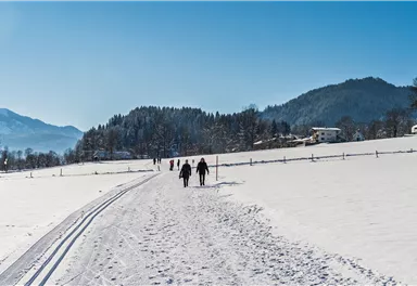 Söll_Sunnseitloipe_Winterwanderweg_Wilder Kaiser