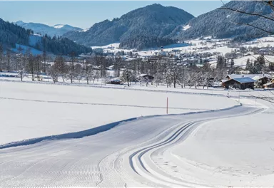 Schattseitloipe_Soell_Foto Martin Raffeiner (13).jpg