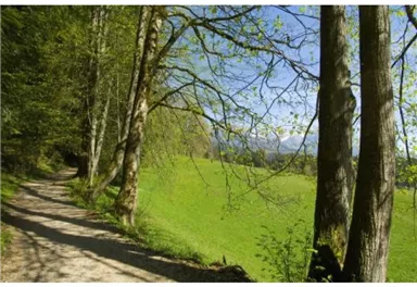 Söll_Sunnseitweg_Wilder Kaiser