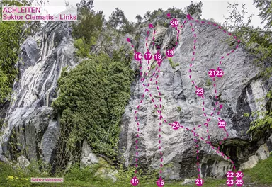 Wilder Kaiser_KG_Achleiten_Clematis Links_75dpi.jpg