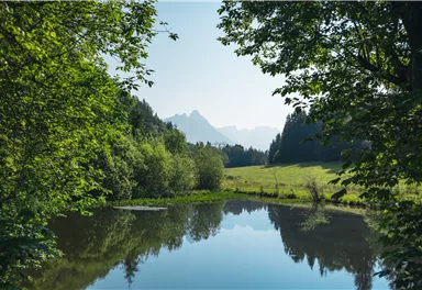 Söll_Weiler Peppenau_Wilder Kaiser