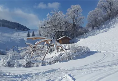 Hexenschirme Winter.jpg