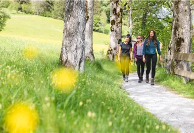 Wandern_Sunnseitweg Söll_Frühling_April24_Foto_Mathäus Gartner (7).jpg