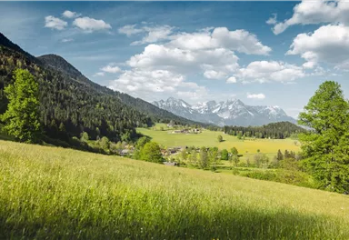 Wandern_Sunnseitweg Söll_Frühling_April24_Foto_Mathäus Gartner (22).jpg