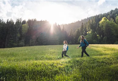 Söll_Wandern Sunnseitweg Söll_Wilder Kaiser