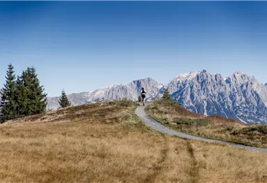 Wilder_Kaiser_Sportler_Tour_de_Tirol_Soell_2021_EmanuelAdensam (329).jpg