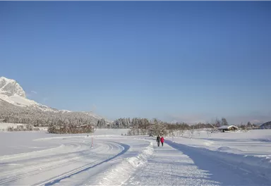 Winterwandern_Wilder Kaiser