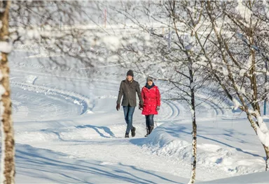 Winterwandern_Wilder Kaiser