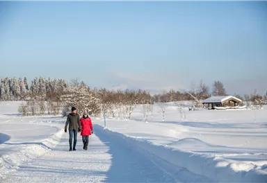 Winterwandern_Wilder Kaiser