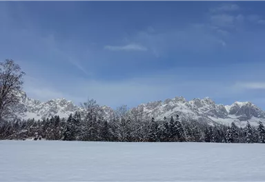 Genusswanderung_24.01 (82).jpg