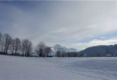 Genusswanderung_24.01 (85).jpg