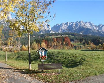 Ellmau_Biedringer Platte Rundweg_Wilder Kaiser