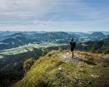 Going_Ausblick vom Baumgartenköpfl_Wilder Kaiser