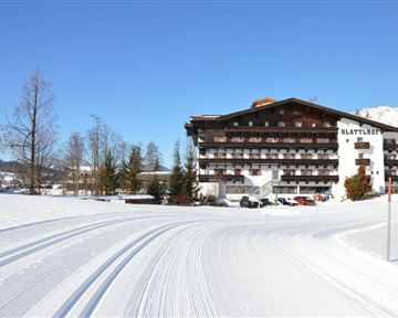 Blattlloipe_Daniela Pfeiler_(37)_bearbeitet.jpg