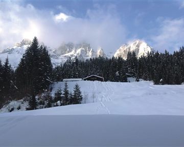 Going_Graspoint Niederalm_Wilder Kaiser