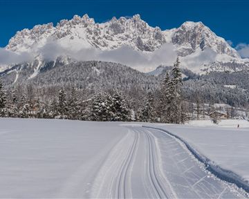 Going_Loipe_Winter2015_Martin_Raffeiner (17).jpg