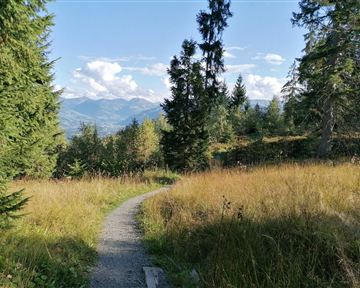 Going_Weg_Nr9_zwischen_Kathen_und_Astberg_Sommer2021_Daniela_Pfeiler (2).jpg