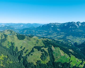 wilderkaiser_kaiserbluete_stein_mathaeusgartner_2025_-4.jpg