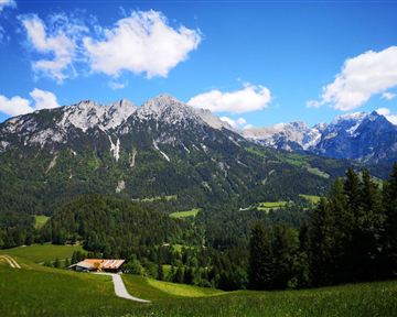 Scheffau_Greidern_Schupfen_Wilder Kaiser