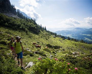 Scheffau_Kaiser-Hochalm_Aufstieg Scheffauer_Wilder Kaiser