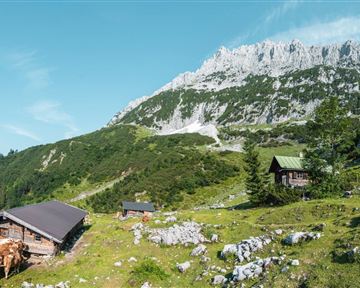 Scheffau_Kaiser-Hochalm_Wilder Kaiser