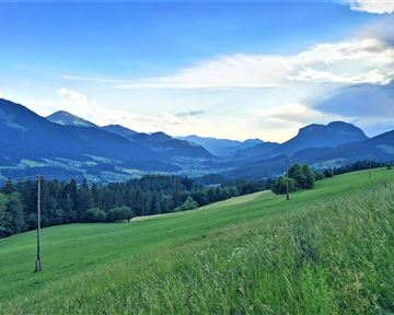Scheffau_Schießling_Ansicht nach Söll