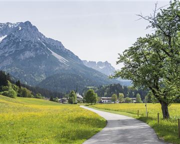 Scheffau_Sommer_Wilder Kaiser
